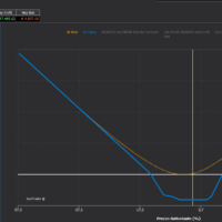 Corso Portafoglio di Strategie in Opzioni Long Short